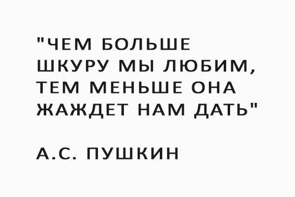 ЧЕМ БОЛЬШЕ ШКУРУ МЫ ЛЮБИМ ТЕМ МЕНЬШЕ ОНА ЖАЖДЕТ НАМ ДАТЬ АС ПУШКИН