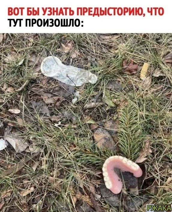 ВОТ БЫ УЗНАТЬ ПРЕДНСГОРИЮ ЧТО ТУТ ПРОИЗОШЛО 8
