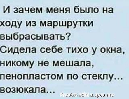 И зачем меня было на ходу из маршрутки выбрасывать Сидела себе тихо у окна никому не мешала пенопластом по стеклу возюкала