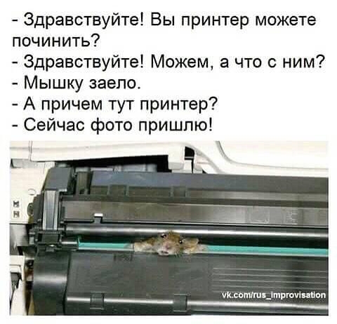 Здравствуйте Вы принтер можете починить Здравствуйте Можем а что с ним Мышку заепо А причем тут принтер Сейчас фото пришлю уклешшкдтршипипп