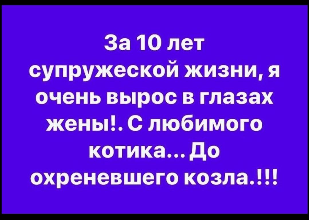 За 10 лет супружеской жизни я очень вырос в глазах жены с любимого котика до охреневшего козла
