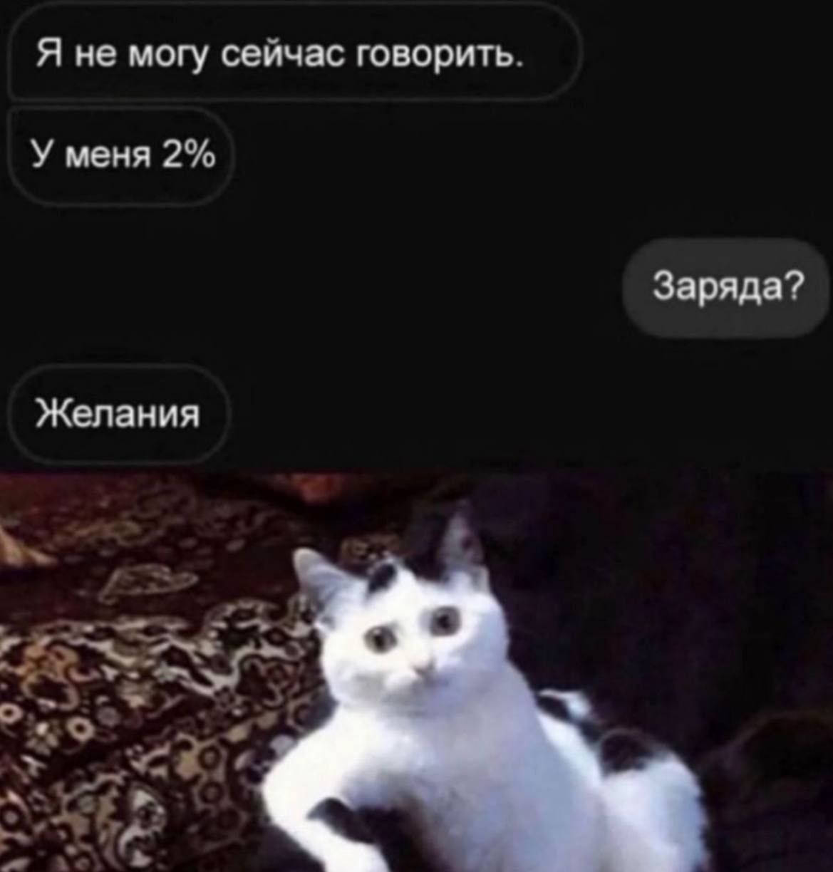 Я не могу сейчас говорить У меня 2 Заряда ЖеПЗИИП