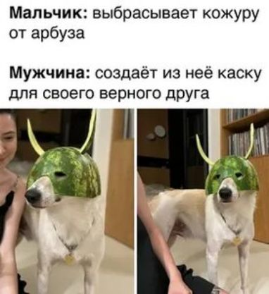 Мальчик выбрасывает кожуру от арбуза Мужчина создаёт из неё каску для своего верного дРУга