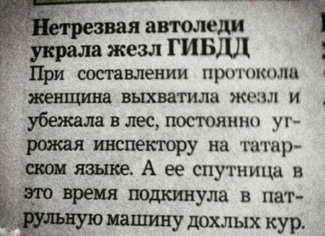 автоледи 13 жезл ГИБДД При составлении прошкплн женщина выхватила жезл и убежала в лес постоянны уг рожая инспеюору на татар пюи ЯШЗ А ее спутница в и время ПОДКИНула в пт иапшну дохлых кур