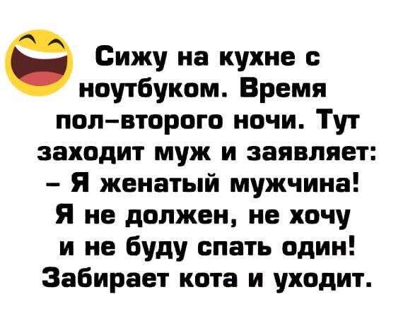 Ё Сижу на кухне ноутбуком Время полвторого ночи Тут заходит муж и заявляет Я женатый мужчина Я не должен не хочу и не буду спать один Забирает кота и уходит