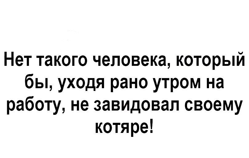 Нет такого человека который бы уходя рано утром на работу не завидовал своему котяре