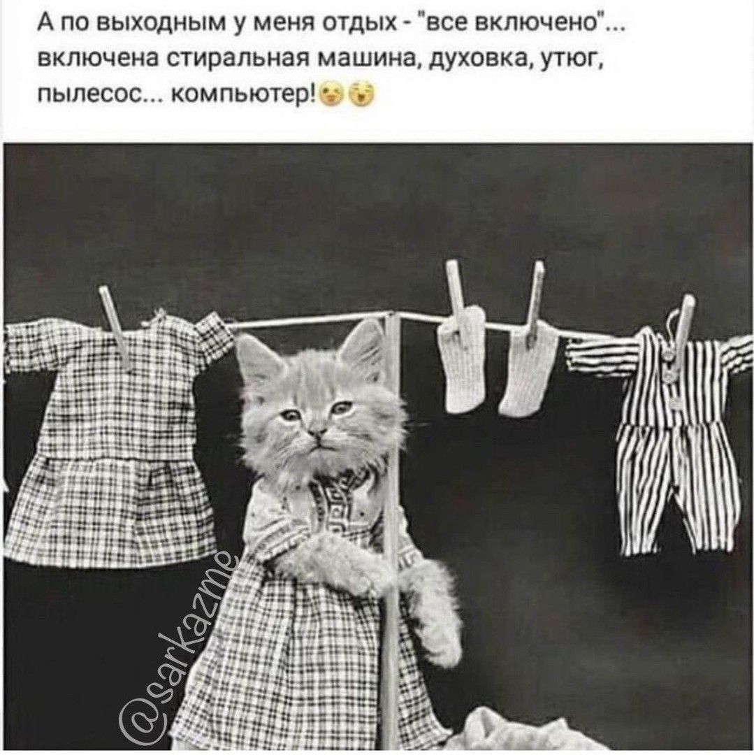 А по выходным у мени отдых все включено включена стиральная машина духовка утюг пыпесос компьючерчт