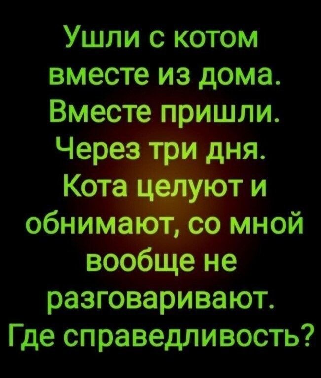 Ушли с котом вместе из дома Вместе пришли разговаривают Где справедливость