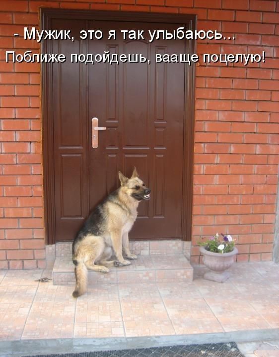Мужик это я так улыбаюсь Побпиже подойдешь вааще поцелую