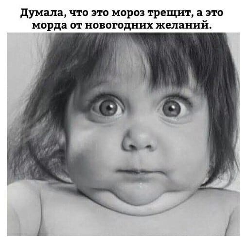 думала что это мороз трещит а это морда от новогодних желаний