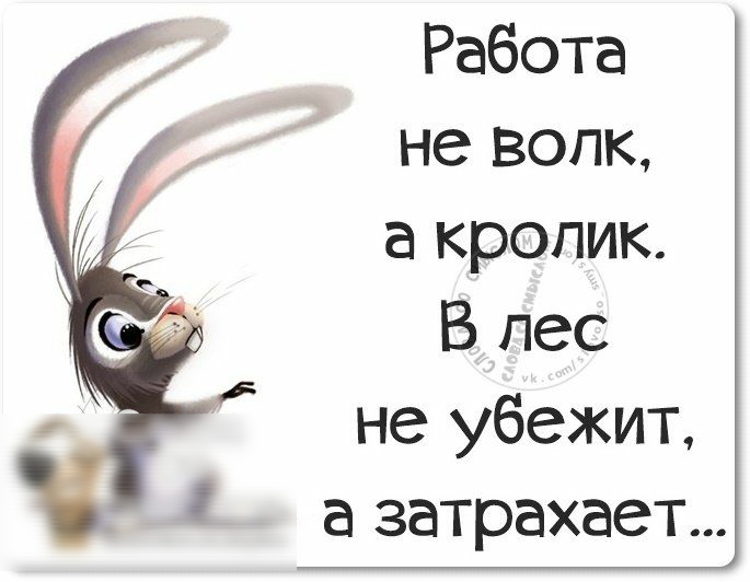 Работа не волк а кролик В лес не убежит а затрахает