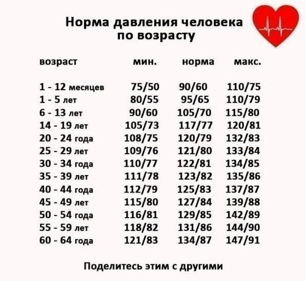 Норма давления человека возраст 1 12 мвищп 1 5пп 6 1Злн 14 19 лет 20 24 года 25 29лн 30 _ 34 года ЗБЗВпн 40 44 год 45 49пы 50 _ 54 года 5559 60 _ 64 год Поделитесь этим с другими 7550 8055 9060 10573 10875 10976 11077 11178 11279 11580 11681 11882 12183 по возрасту норма 9060 9565 10570 11777 12079 12180 12281 12382 12583 12784 12985 13186 13497 макс 11075 11079 11580 12081 13283 13384 13485 13586