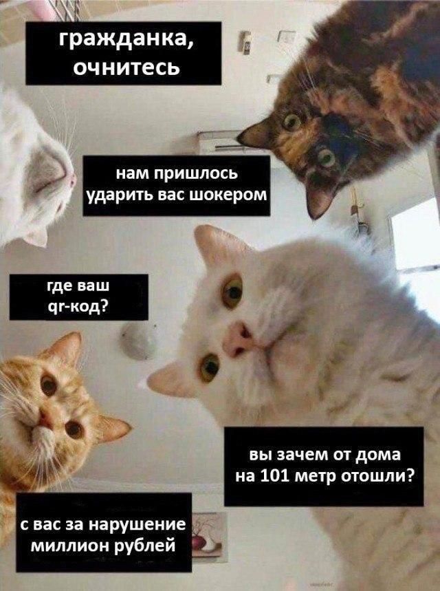 Гражданка очнитесь ВЫ зачем ОТ дома на 101 метр отошли с вас за нарушение _ миллион рублей