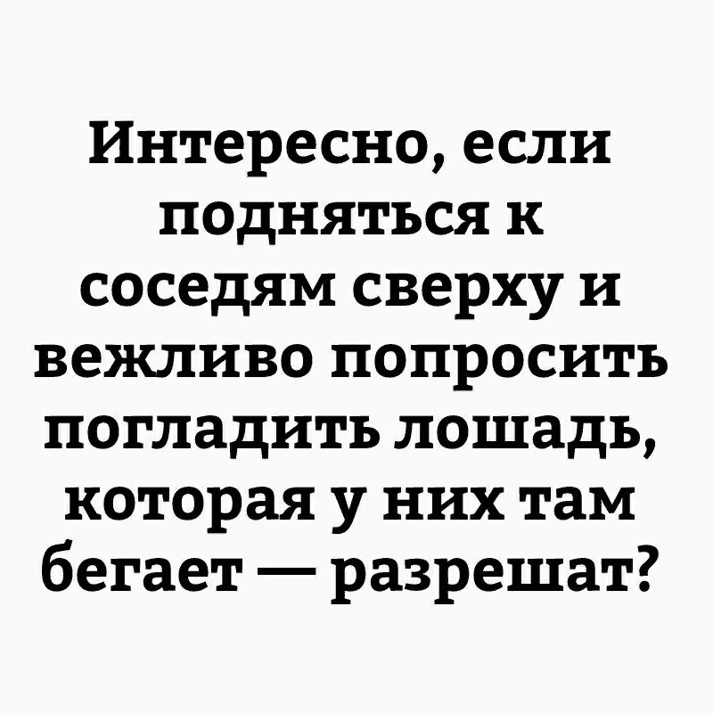 Интересно если подняться к соседям сверху и вежливо попросить погладить лошадь которая у них там бегает разрешат