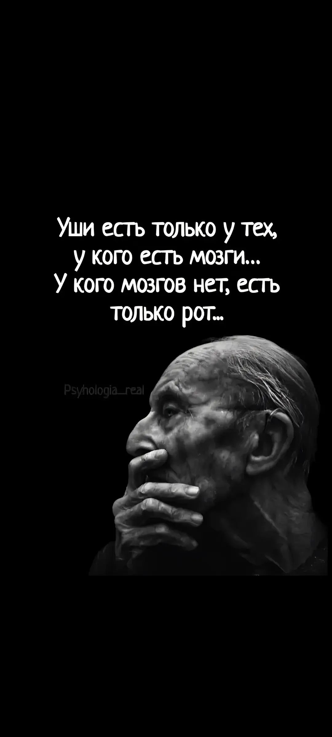 Уши есть только у тех, у кого есть мозги... У кого мозгов нет, есть только рот...