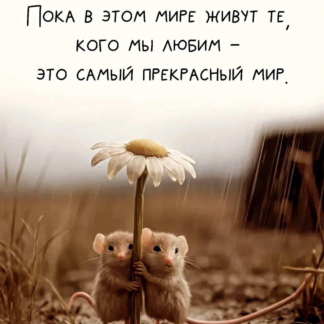 Пока в этом мире живут те, кого мы любим – это самый прекрасный мир.