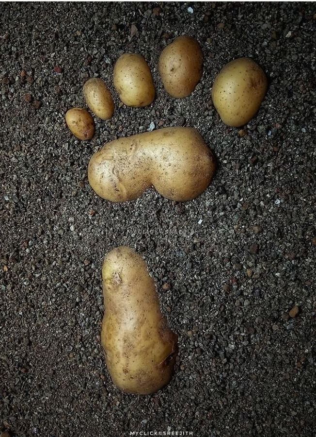 мэеыскмішпц