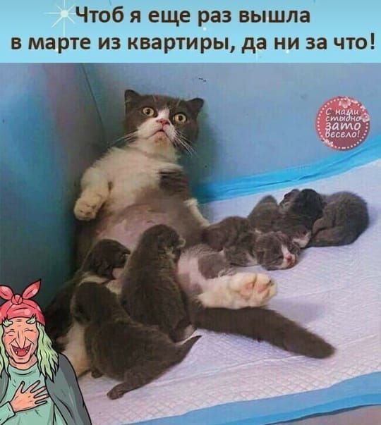 Чтоб я еще раз вышла в марте из квартиры да ни за что