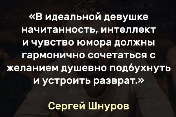 В идеальной девушке начитанность интеллект и чувство юмора должны гармонично сочетаться с желанием душевно подбухнуть и устроить разврат Сергей Шнуров