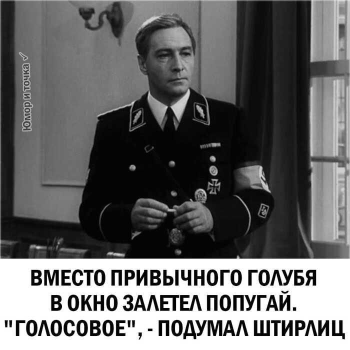 Ш і __9Е ВМЕСТО ПРИВЫЧНОГО ГОАЁБЯ В ОКНО ЗААЕГЕА ПОПУГАИ ГОАОСОВОЕ ПОАУМАА ШТИРАИЦ