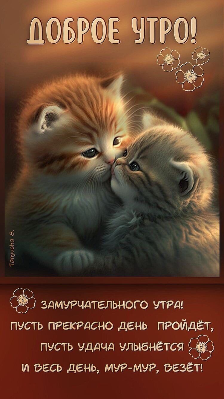 ЦОЫЮЁ Л 9 ЗАМУРЧДТЕЛЬНОГО УТРА ПУСТЬ ПРЕКРАСНО дЕНЬ ПРОЙДЁТ ПУСТЬ УДАЧА ЧЛЫбНЁТСЯ И ВЕСЬ дЕНЬ МУР МУР БЕЗЁТ