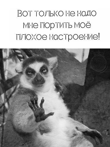 ВОТ Топько не надо мне ПОрТИТЬ моё плохое К ЮСТрОеНИе