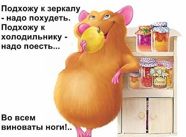 Подхожу к зеркалу надо похудеть Подхожу к холодильнику надо поесть Во всем виноваты ноги