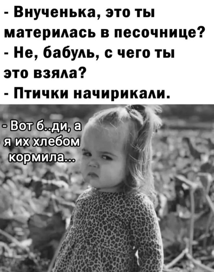 Виученька это ты материдась в песочнице Не бабуль чего ты это взяла Птички иачирикади