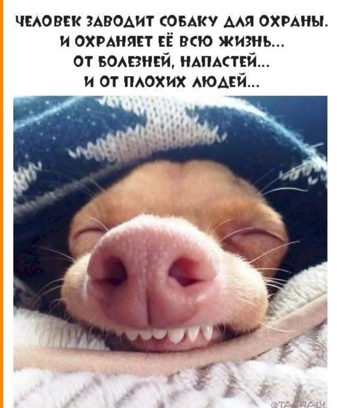 чмовск ЗАВОАИТ овдку мя охмны и охмняп ЕЁ всю жизнь от вомчнгй мидий и от похих АЮАЕЙ