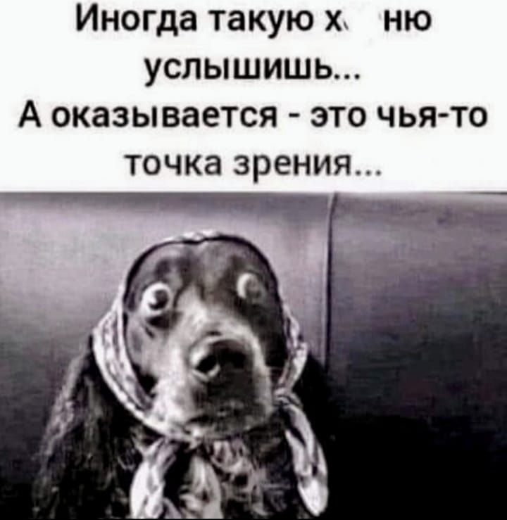 Иногда такую х ню услышишь А оказывается это чья то точка зрения