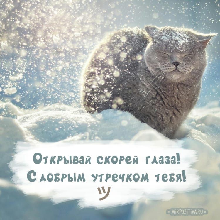 01кгывая скорей маза едовгым пре ком тевя