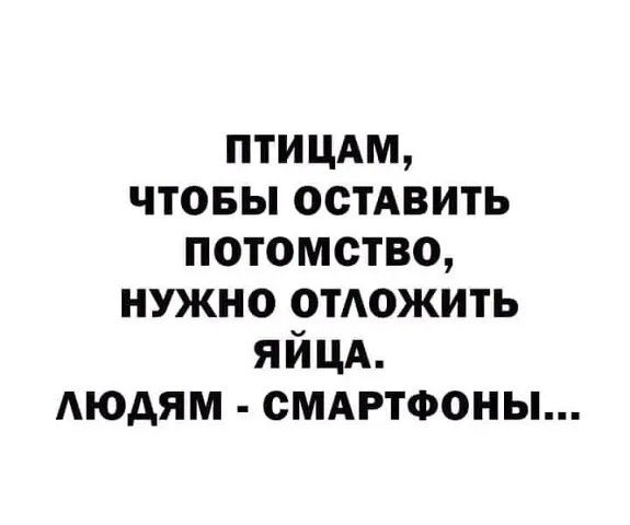 птицдм чтовы остАвить потомство нужно отюжить яйцд АЮАЯМ СМАРТФОНЫ