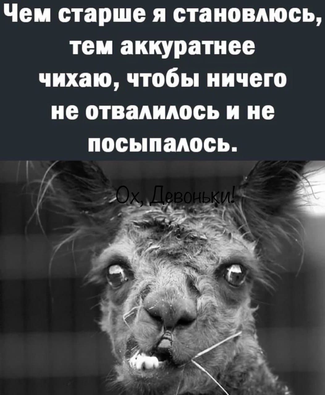 Чем старше я становлюсь тои аккуратнее чихаю чтобы ничего не отвалилось и не посыпаюсь