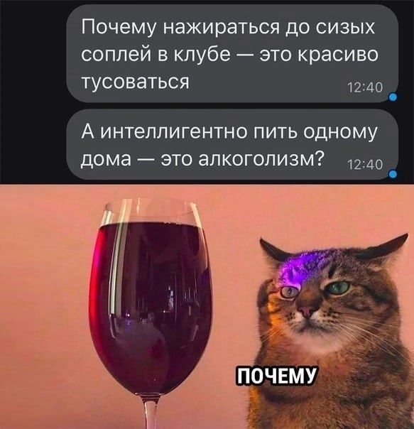 Почему НЗЖИРЗТЬСЯ до СИЗЫХ соплей в клубе это красиво тусоваться 1240 _ А интеллигентно ПИТЬ одному дома ЭТО ЭПКОГОЛИЗМ 1240 _