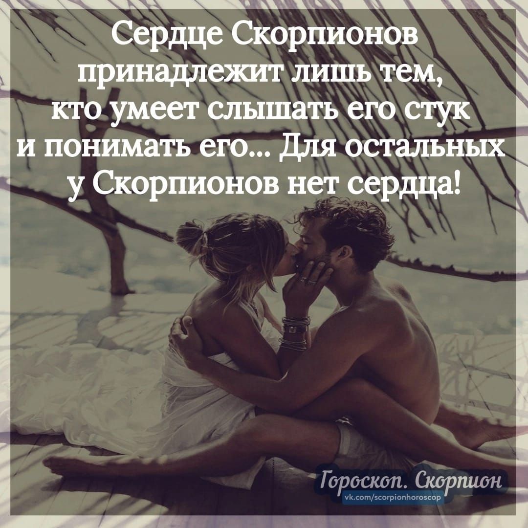 _ пк ч Сердце Скорпионов 1 принадлежит лишь тем Ё кто умеет слышать его стук и понимать его Для остальных у Скорпионов нет сердца ь Путин