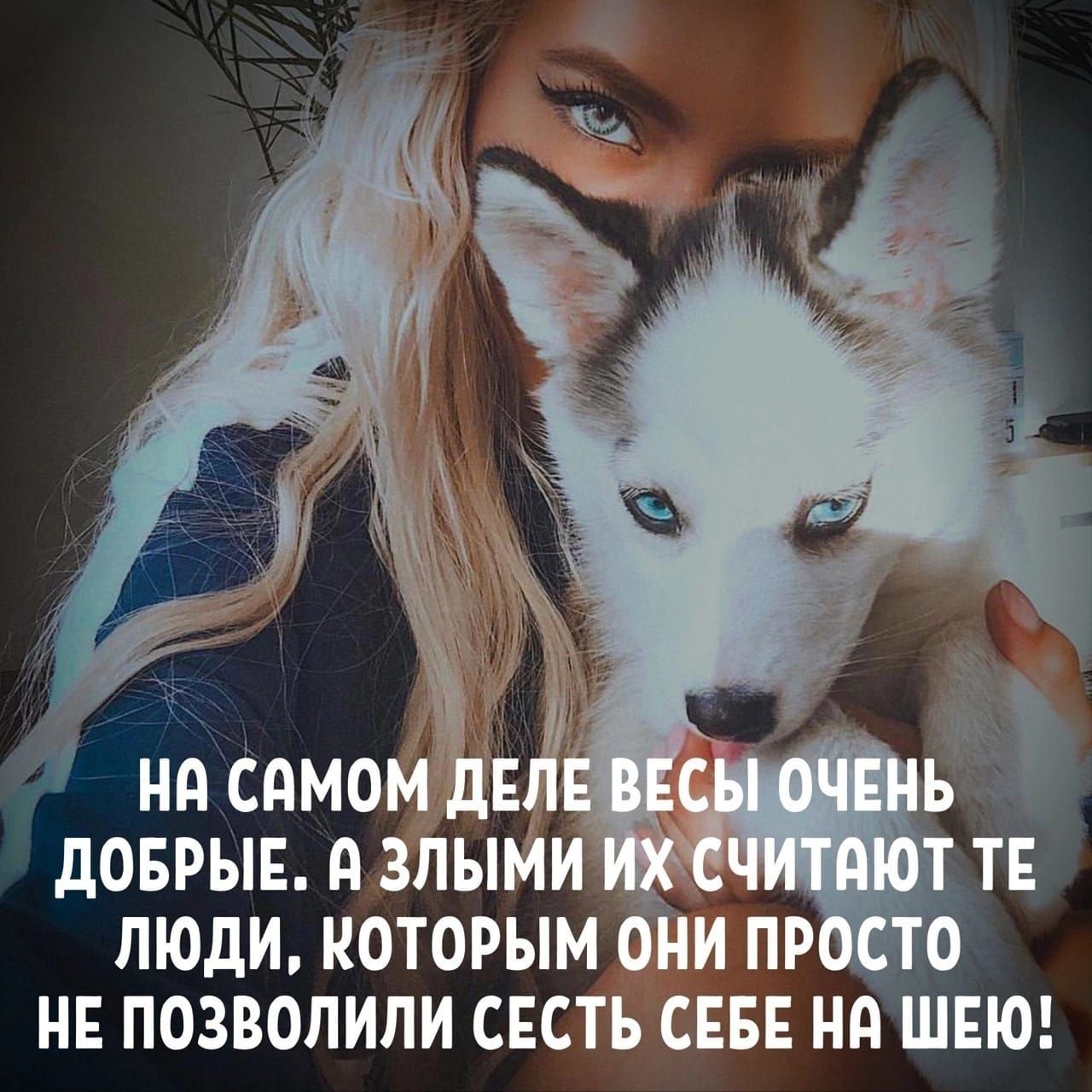 дОБРЫЕ д ЗЛЫМИ ЛЮДИ КОТОРЫМ НЕ ПОЗВОЛИПИ СЕСТЪ СЕБЕ Нд ШЕЮ