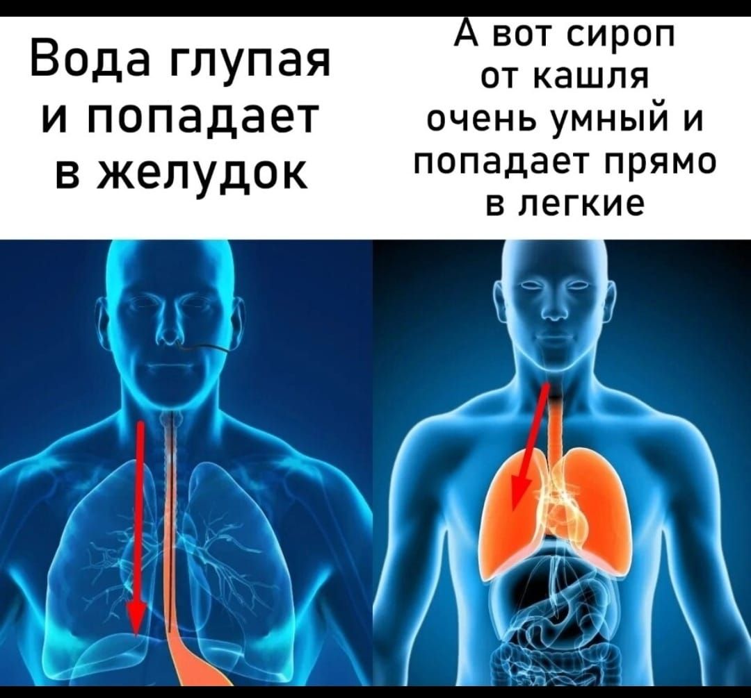 В ВОТ Сироп ода глупая от кашля И ПОПЗДЭЕТ очень умный и в желудок попадает ПРЯМО В ЛЕГКИЕ