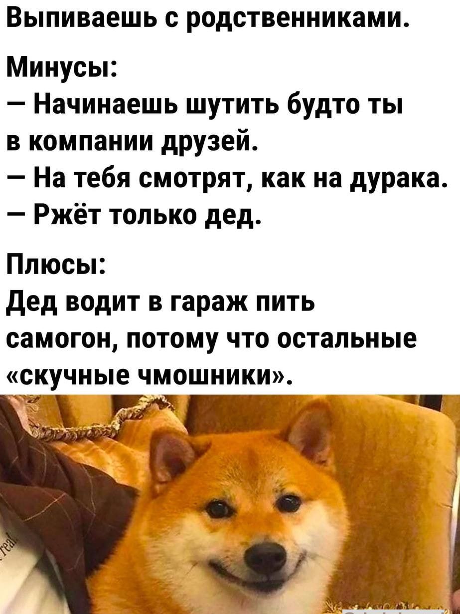Вы пиваешь с родственникам И Минусы Начинаешь шутить будто ты в компании друзей На тебя смотрят как на дурака Ржёт только дед Плюсы дед водит в гараж пить самогон потому что остальные скучные чмошники 316