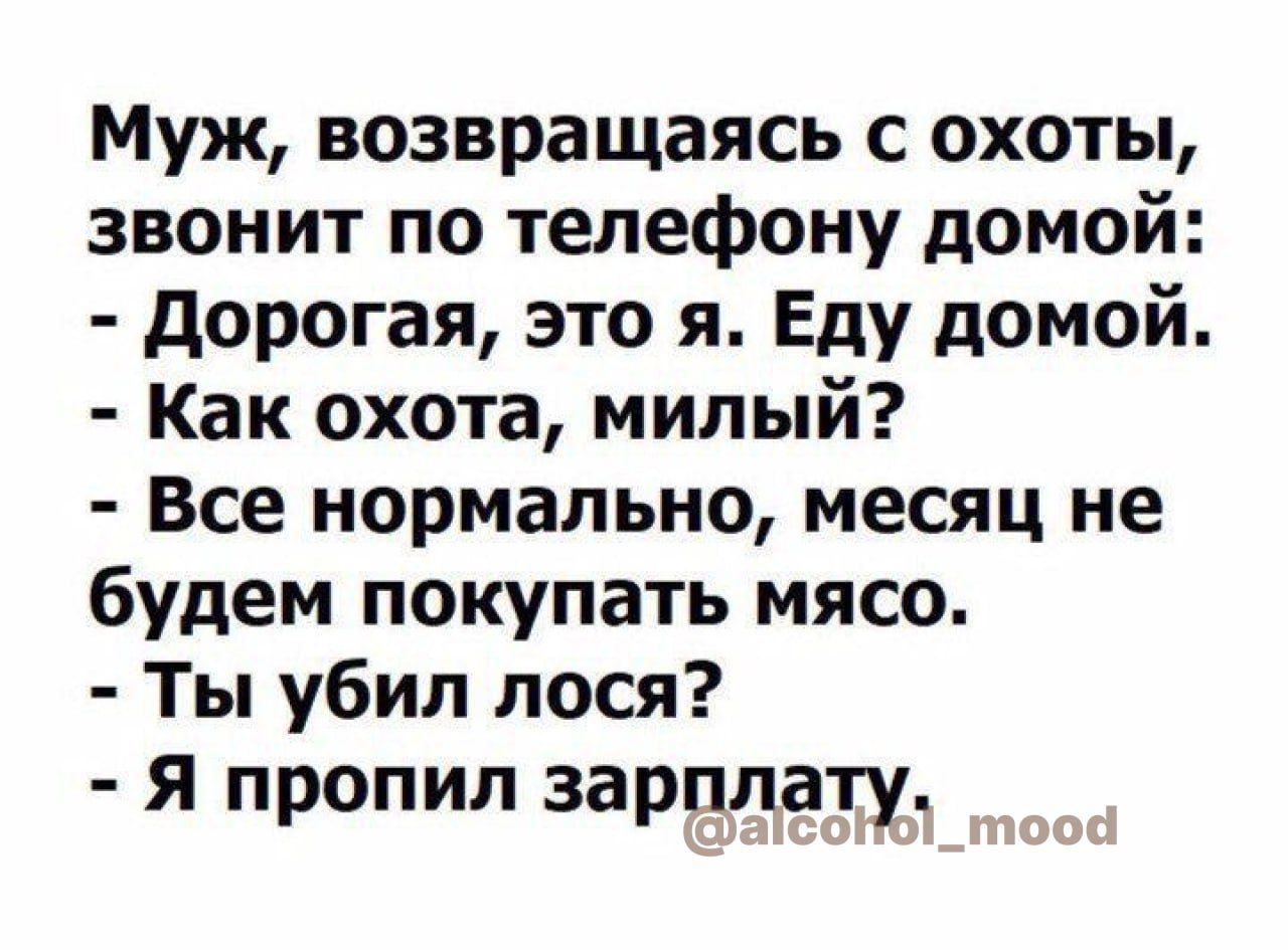 Муж возвращаясь с охоты звонит по телефону домой дорогая это я Еду домой Как охота милый Все нормально месяц не будем покупать мясо Ты убил лося Я пропил зарплату