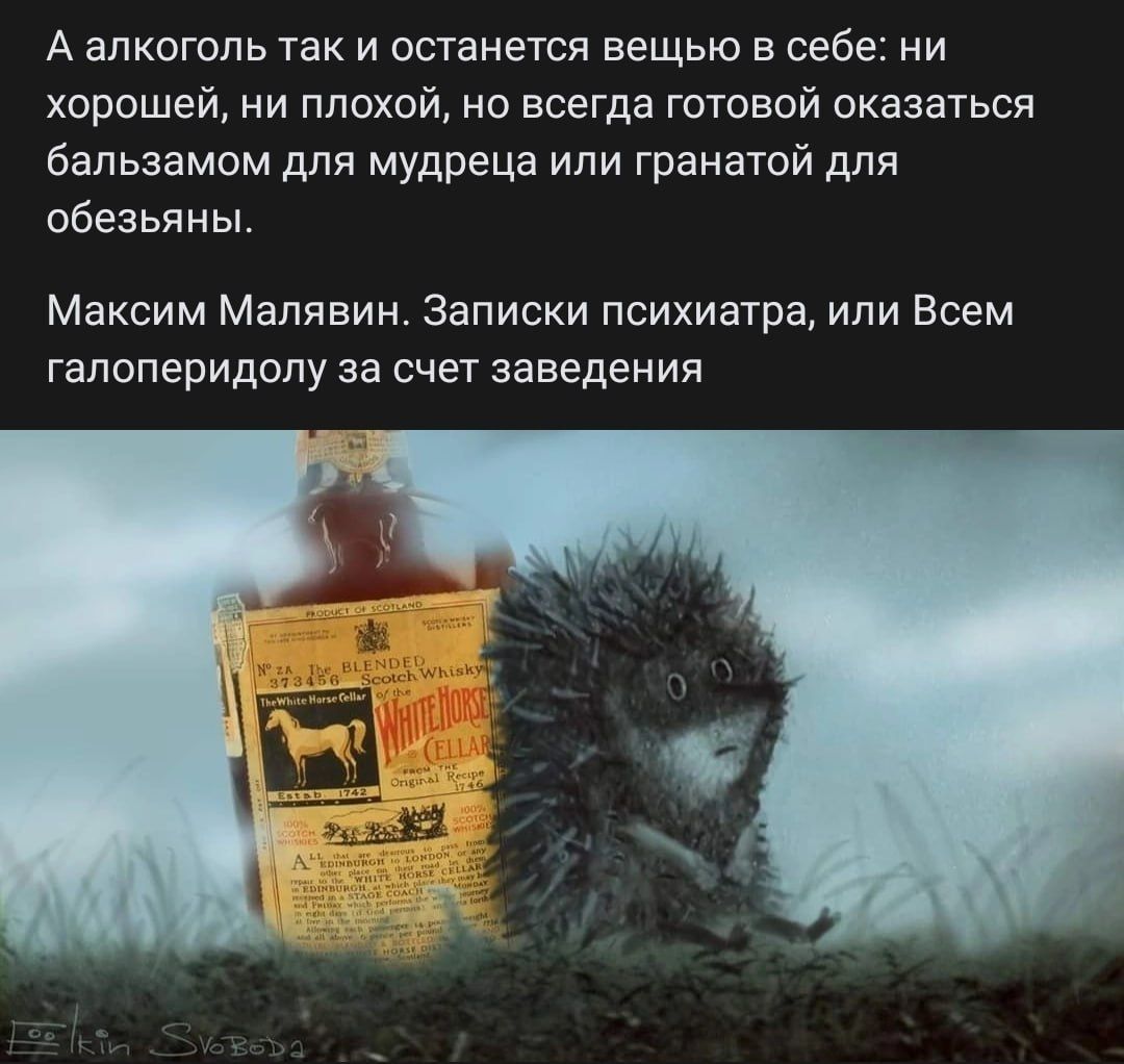 А алкоголь так и останется вещью в себе ни хорошей ни плохой но всегда готовой сказаться бальзамом для мудреца или гранатой для обезьяны Максим Мапивин Записки психиатра или Всем галоперидопу за счет заведения