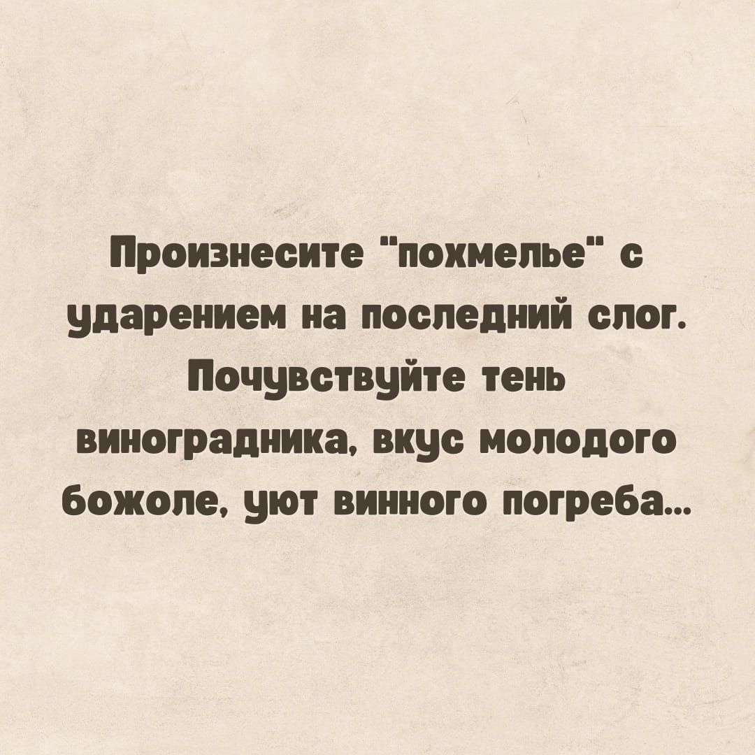 Прошиесите похмелье ударением на последний слог Почувствуйте тень виноградника вкус молодого божопе уют винного погреба
