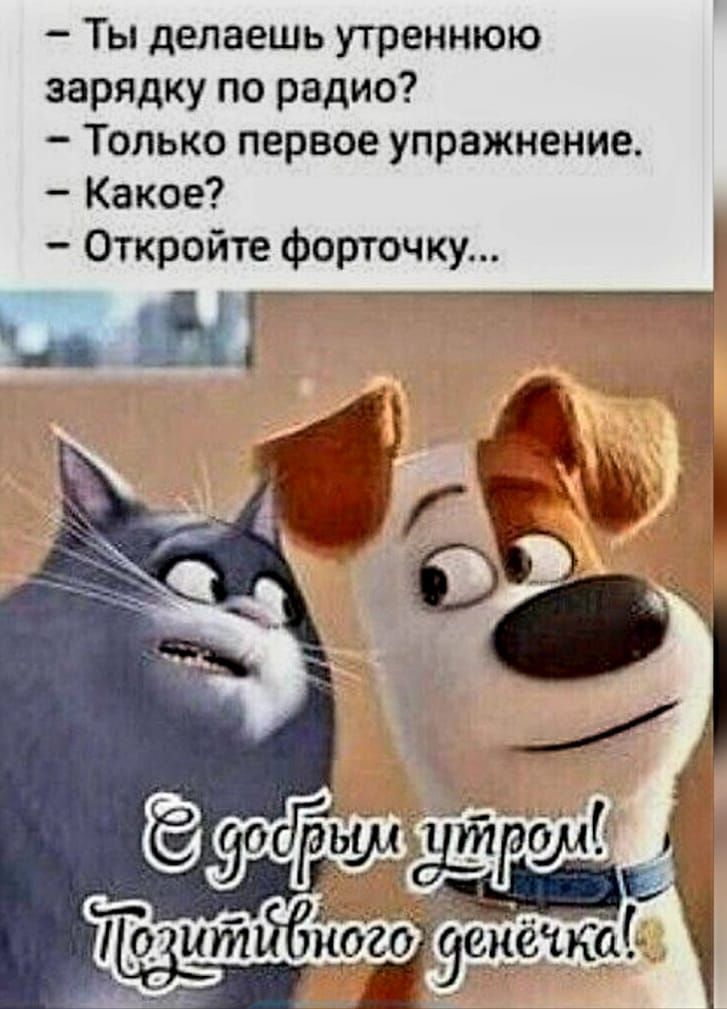 Ты делаешь утреннюю зарядку по радио Только первое упражнение Какое Откройте форточку ЬЩГ