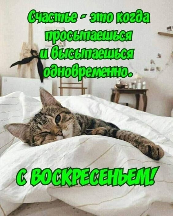 п ибнс ыпаешься я _ ц