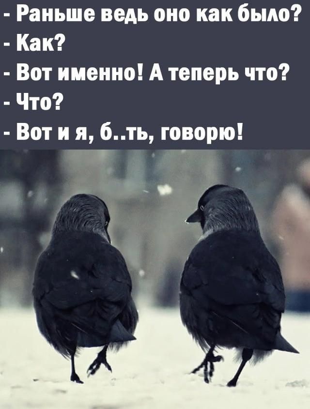 Раньше ведь оно как было Как Вот именно А теперь что Что Вот и я 6ть говорю