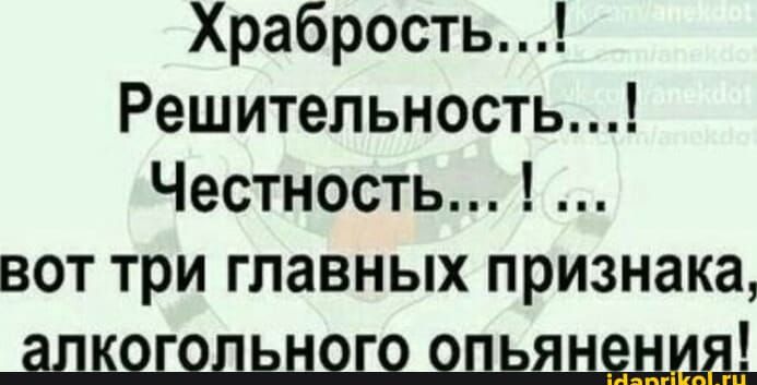 Храбрость Решительность Честность вот три главных признака