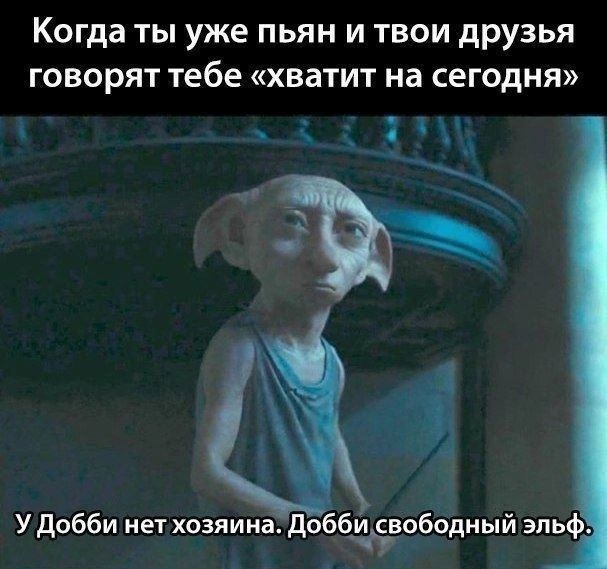 Когда ТЫ уже ПЬЯН И ТВОИ друзья ГОВОРЯТ тебе хватит на сегодня Удобби не хозяина добби свпбодный эльф