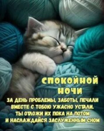 ё скидки принят С У тыж