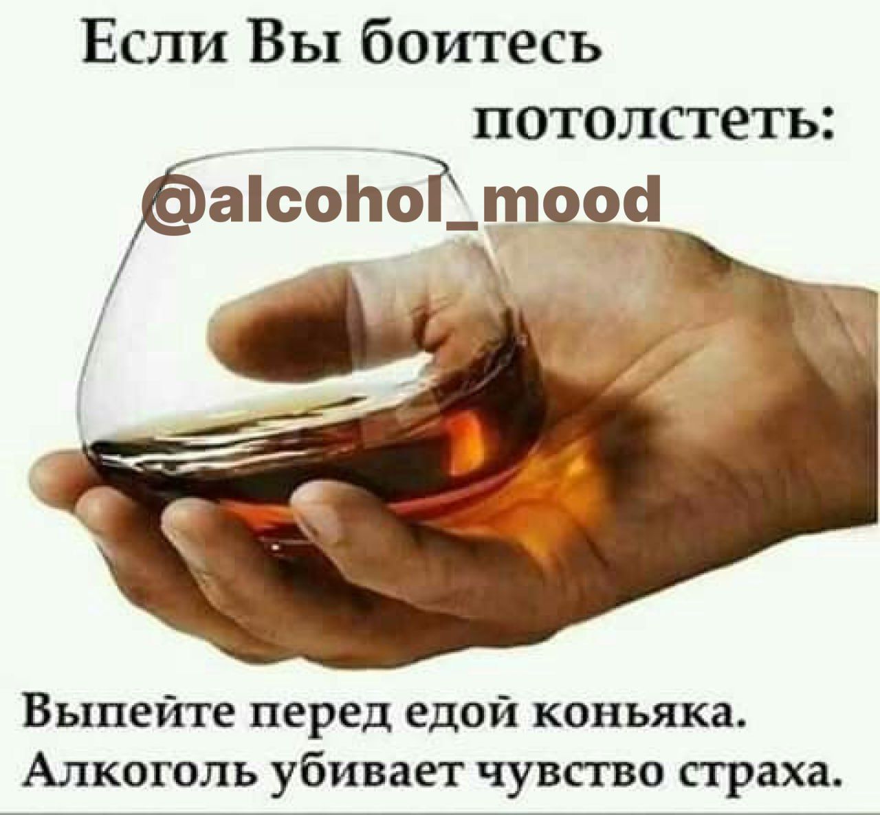 Если Вы боитесь потолсгетъ асоиоі_то_09 Выпейте перед едой коньяка Алкоголь убивает чувство праха
