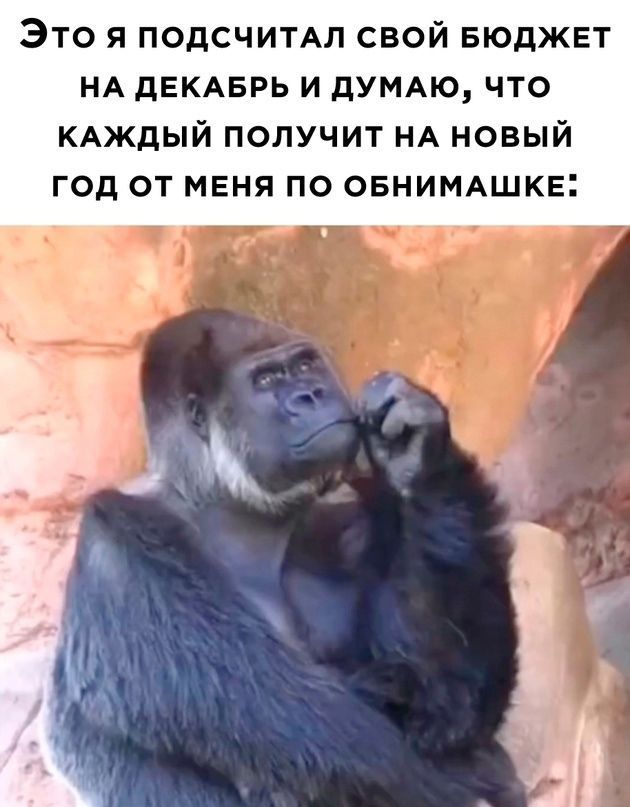 Это я ПОдСЧИТАЛ свой БЮДЖЕТ НА дЕКАБРЬ и думмо что КАЖДЫЙ получит НА новый год от меня по ОБНИМАШКЕ