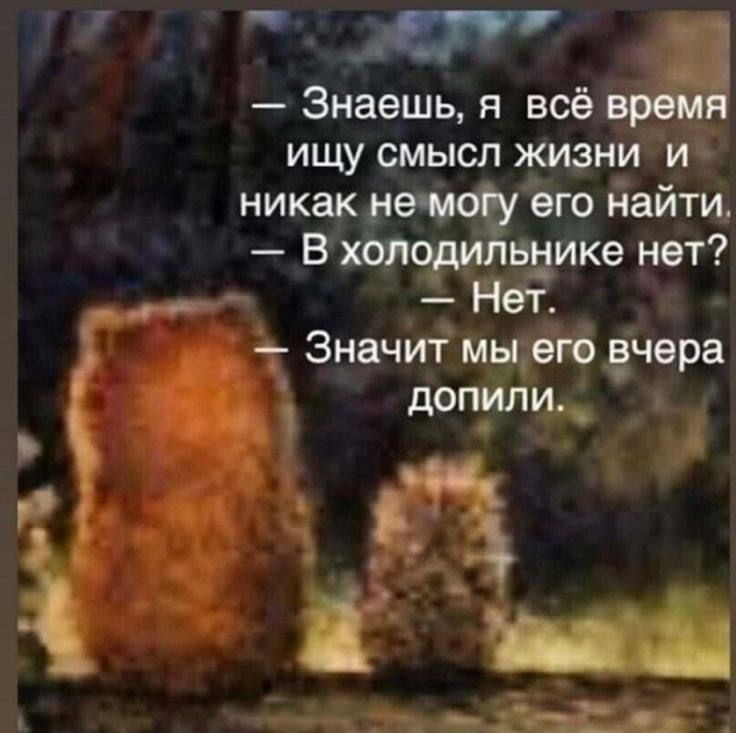 г до Знаешь я всё ищу смысл жизни и никак и его дайти В хоп _ дымке нет га _ ЗГ Значит мщегб Ечера доПилидт а